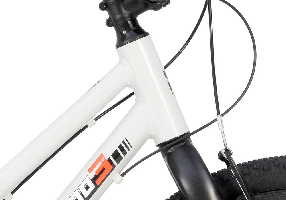 Maxiscoo 3BIKE 24'' L (2025)