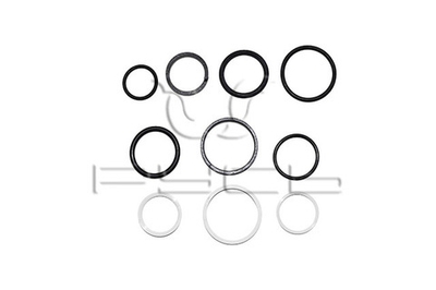 Р/к гидроцилиндра ГЦ40.180.16.000/ЕДЦГ-049.000/40х25 горизонтального перем.мотовила (с 08.2010) Русь