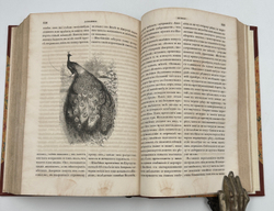 Журнал для детей. Еженедельное издание. СПб, 1855г. с № 1 по № 50. Полный год.