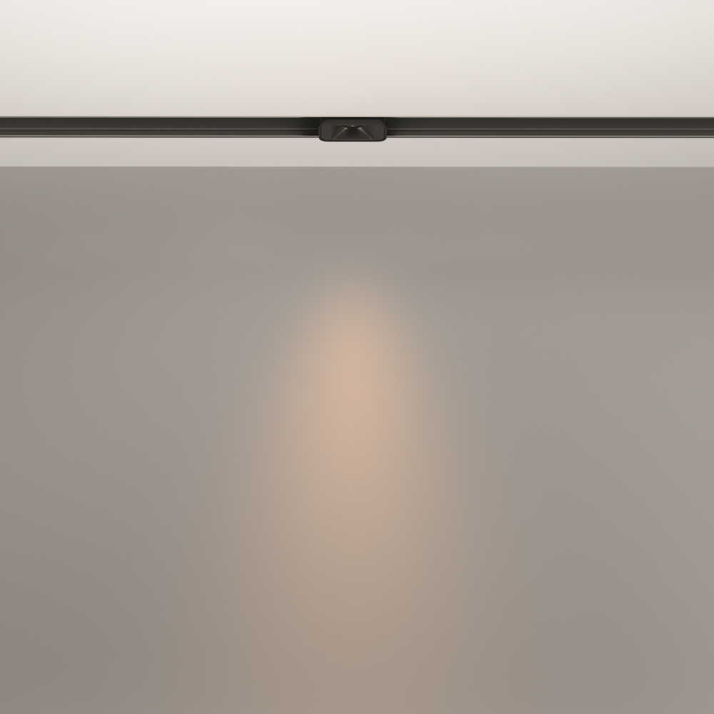 Магнитный трековый светильник Maytoni Points S TR100-2-2W3K-S-B