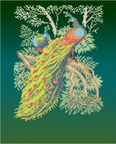 Г-5004 Райские птицы