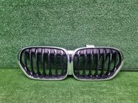 Решетка радиатора BMW X1 F48 (2019-2022)
