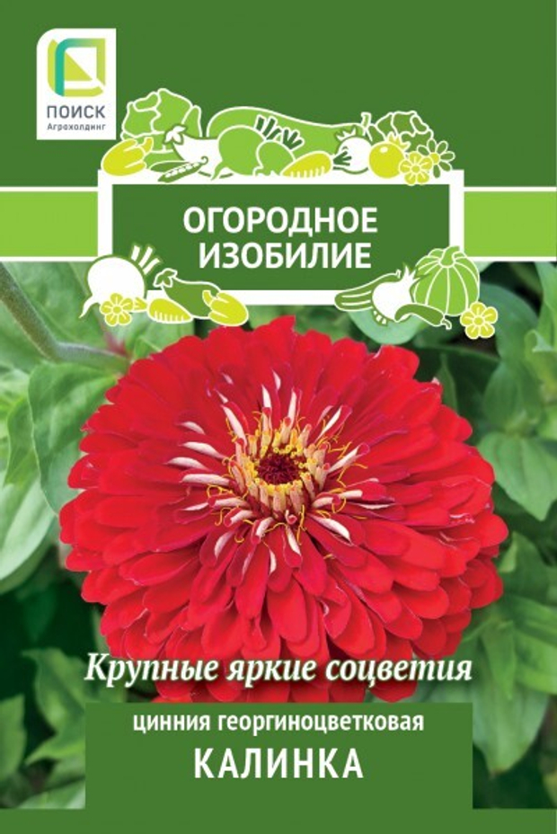 Цинния георгиноцветковая Калинка