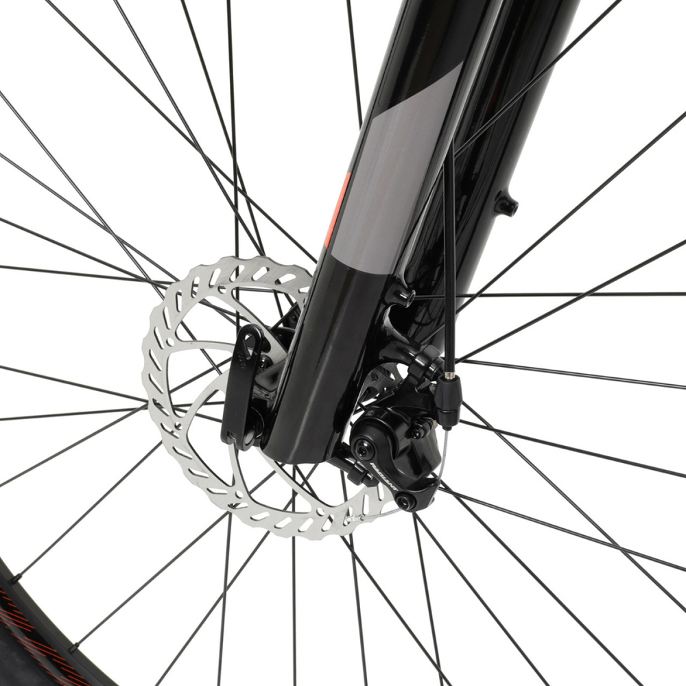 Горный велосипед Welt Raven 2.0 D 29 (2024)