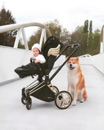 Коляска 2 в 1 Cybex Priam IV 2 в 1 Jeremy Scott Wings