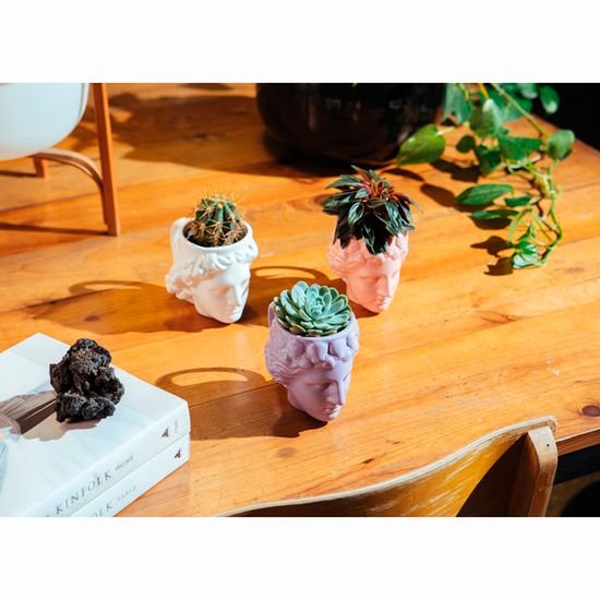 Кружка venus, лиловая