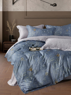 Постельное белье 2 спальное евро Asabella 2121-6