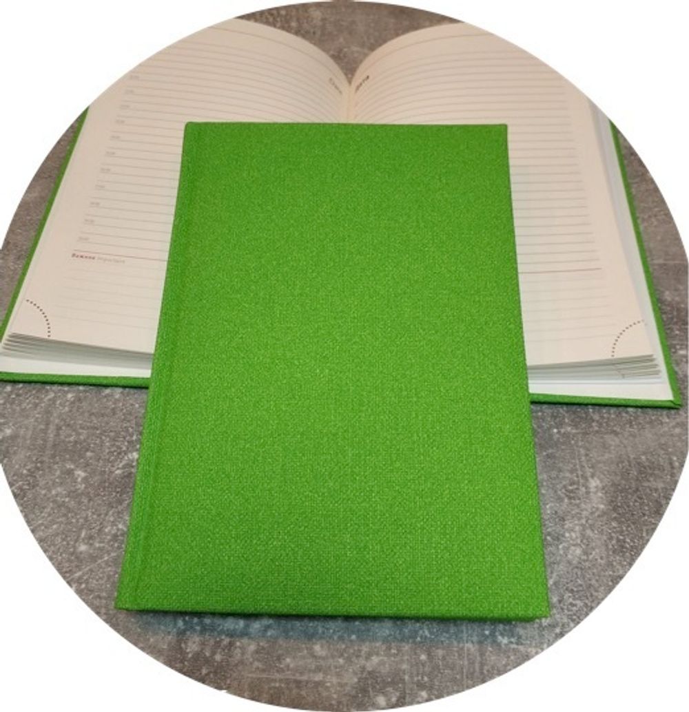 Ежедневник Lediberg DELHI Зелёный