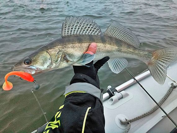 Виброхвосты съедобные LJ Pro Series TIOGA 3.9in (10 см), цв. T26, 5 шт.