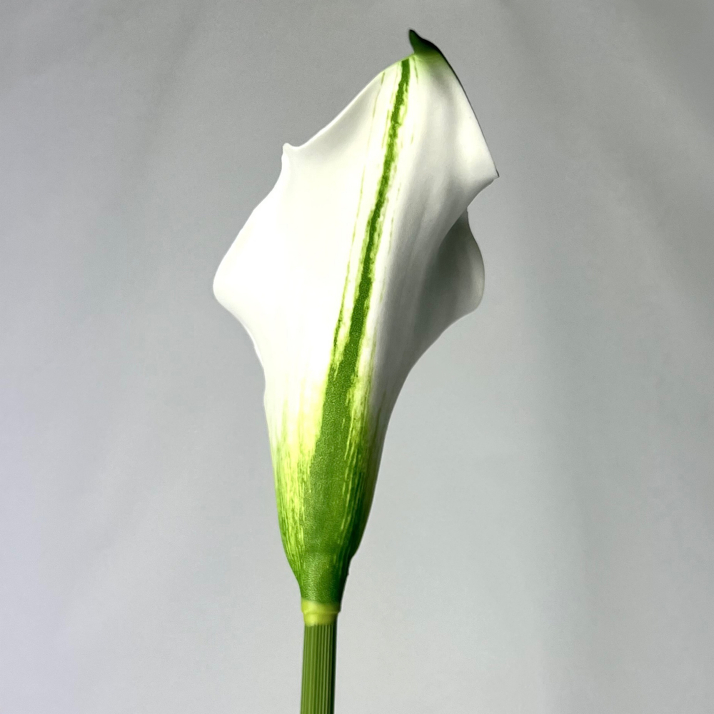 Гортензия премиум ярко-розовая