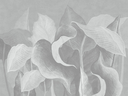 Коллекция SUMMERTIME