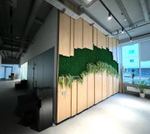 Вертикальное озеленение офиса компании "2ГИС" стабилизированным мхом и искусственными растениями