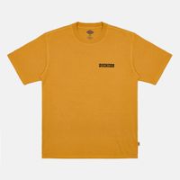  Футболка мужская Dickies Darrtown Short Sleeve Tee 