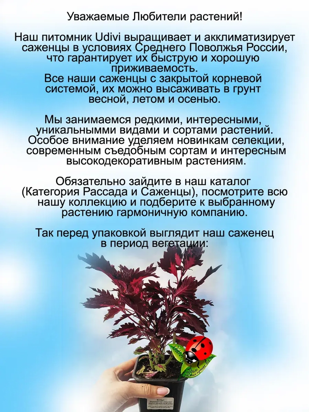 Колеус Королевские витражи