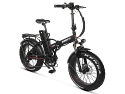 Электрофэтбайк Everest Trial 750w