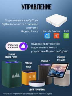 Умный выключатель ZigBee 2 клавиши для Алисы