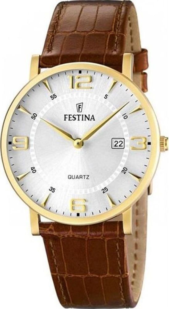 Мужские наручные часы Festina F16478/3