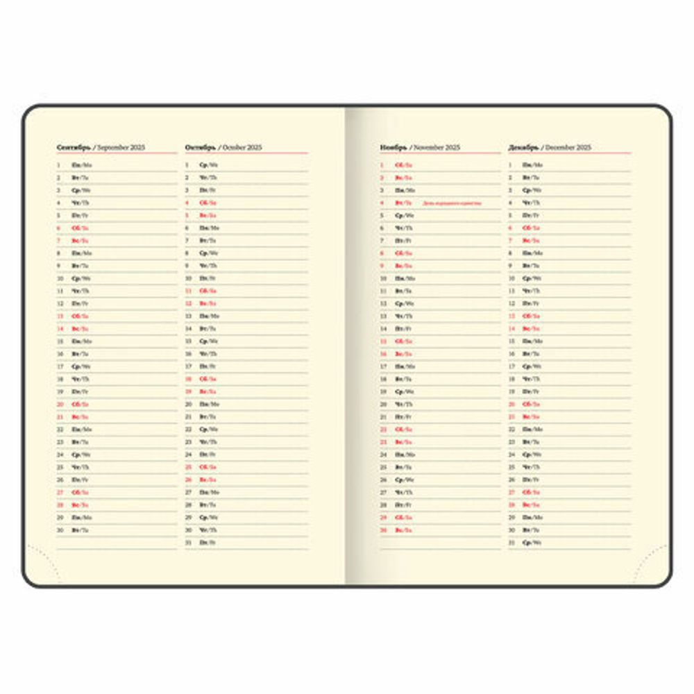 Ежедневник датированный 2025, А5, 138x213 мм, BRAUBERG "Cayman", под кожу, черный, 115772