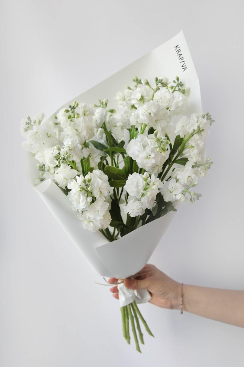 Монобукет Маттиола кустовая White