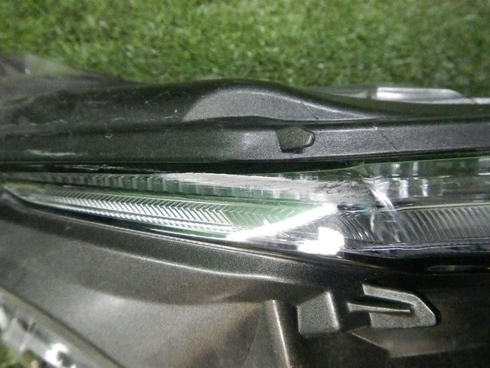 DSCN4565.jpg