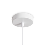 Подвесной светильник Freya FR5530PL-01W