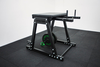 Обратная экстензия (Reverse Hyper)