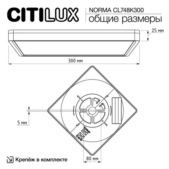 Потолочный светодиодный светильник Citilux Norma CL748K300