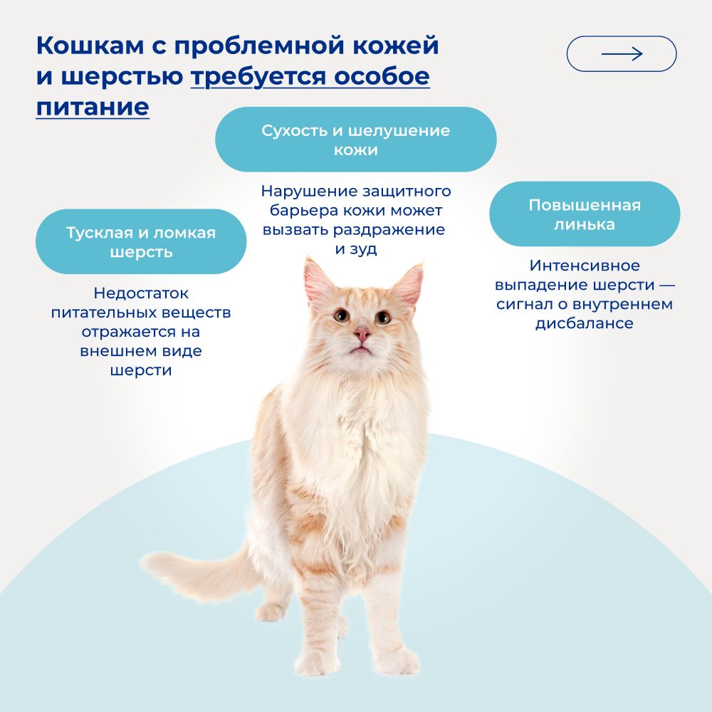 Сухой монопротеиновый корм Jarvi для взрослых кошек для здоровой кожи и красивой шерсти, говядина