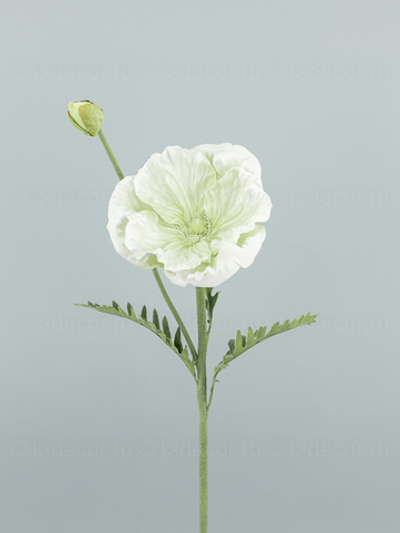 Мак Гигант белый