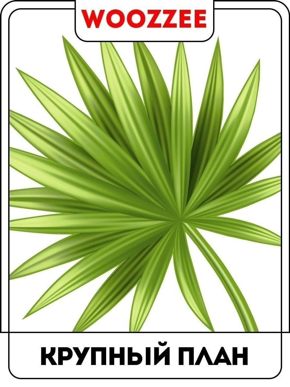 Наклейка декоративная "Зеленые листья"