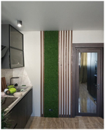 Панно из мха Ягель