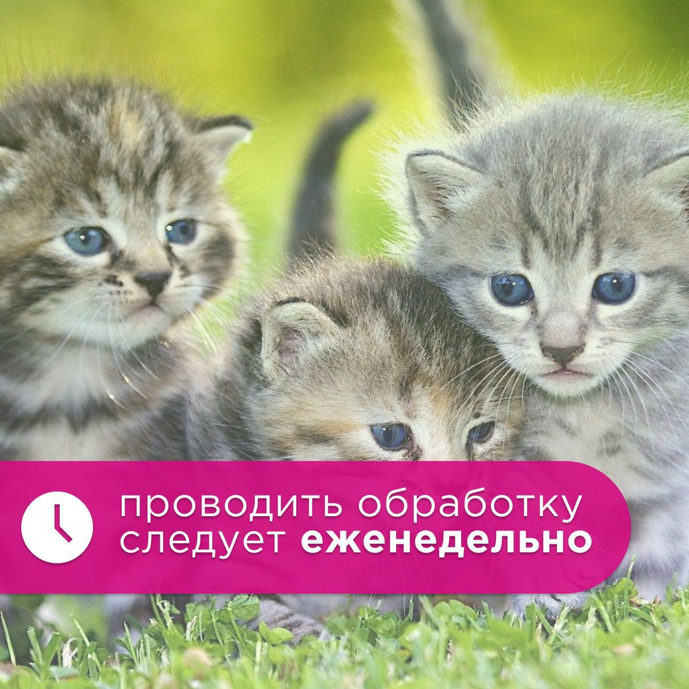 Спрей Brizberry ( Бризберри ) от Apicenna, Защита от царапания для кошек, 250 мл