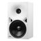 Genelec 8380AW