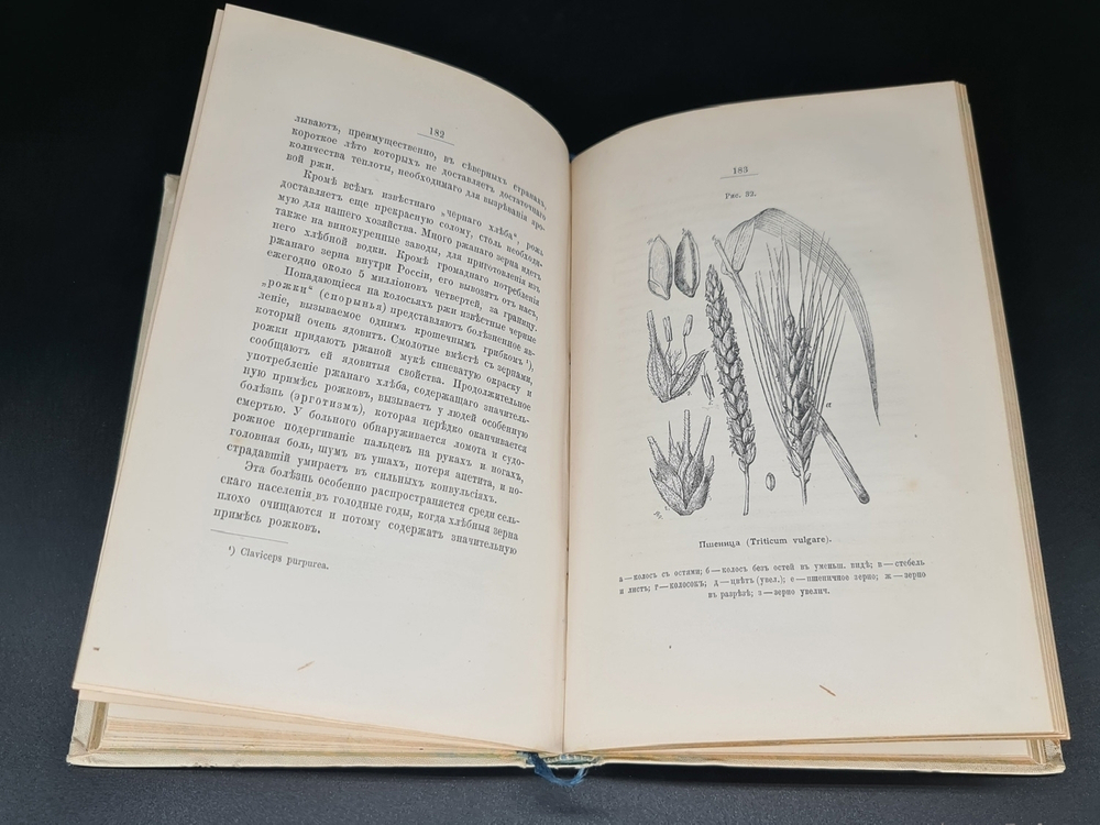 "Из зеленого царства: Популярные очерки из мира растений". Д. Кайгородов. 1888г. - антикварное издание
