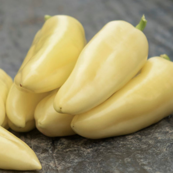 ХАСКИ F1 семена перца сладкого (Enza Zaden | Alexagro) – фото 6