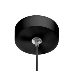 Citilux Стиг CL203221 LED Светильник подвесной с диммером Чёрный