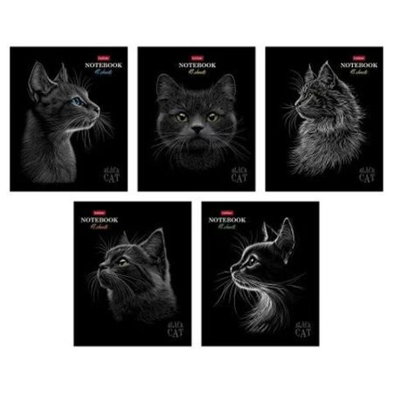 Тетрадь А5 48л кл. Hatber "Black Cat" мат.лам., 3Dлак, 5диз.в блоке