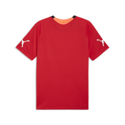 Мужская футболка PUMA individualFINAL Jersey