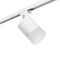 Комплект с трековым светильником Lightstar Rullo (213486+592086+202481) R1T348681