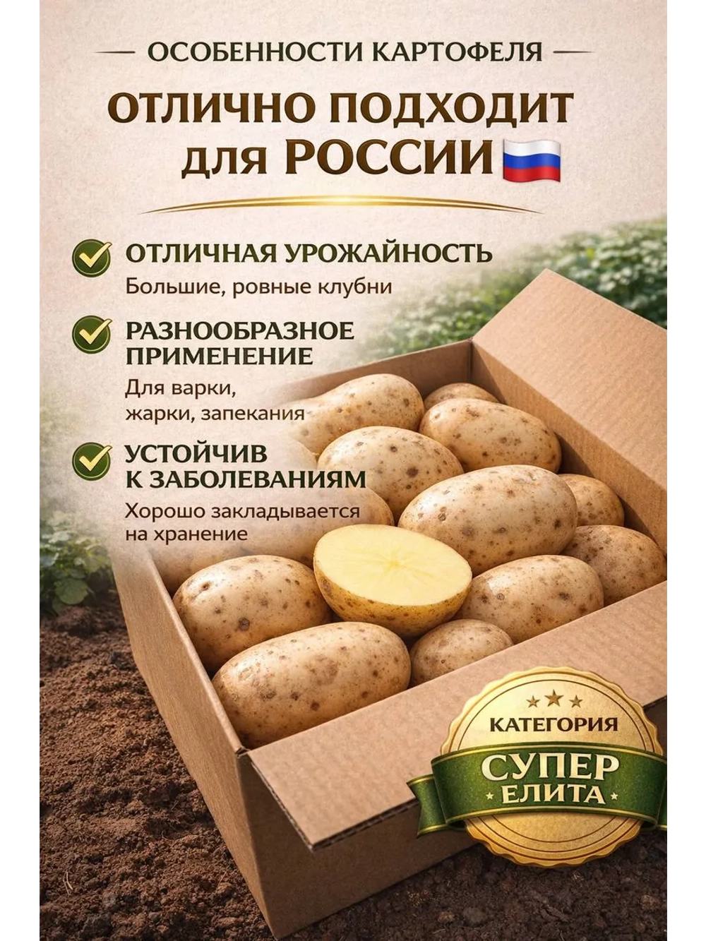 Картофель семенной Кальмия (Kalmia) Канада