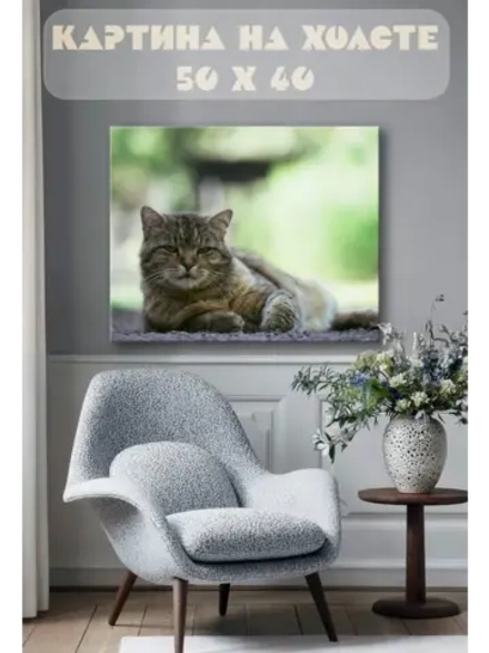 Картина на стену 40 X 50 Кот