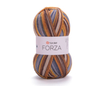 FORZA