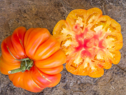 Запотек анансовый ребристый ZAPOTEC ANANAS RIBBE