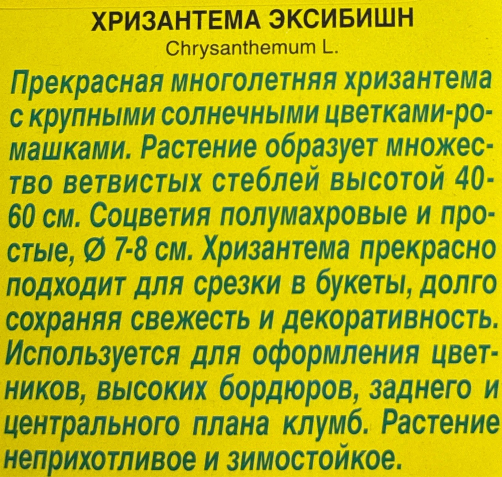 Хризантема Эксибишн СМЦ-337