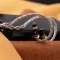 Kinera Imperial Orlog 4 Core