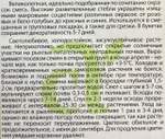 Василек Краски Лета смесь 0,5 г СМЦ-278