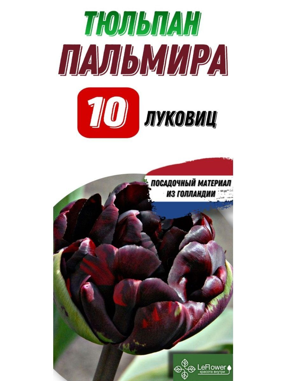Тюльпан Луковица, Пальмира, 10шт