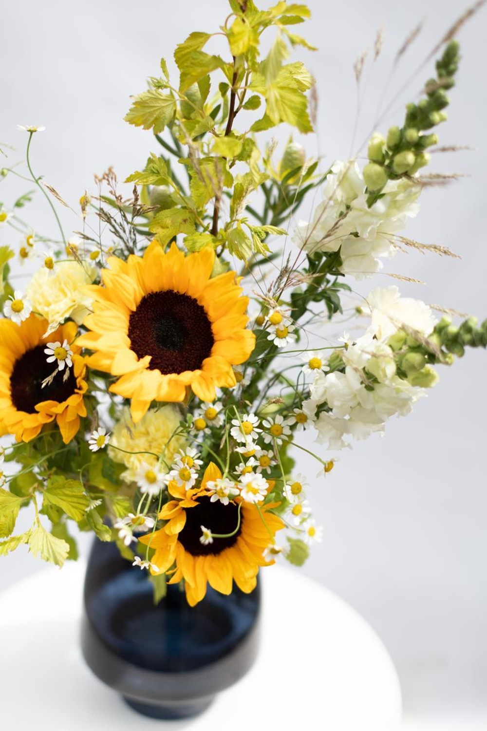 Sunflower’s field