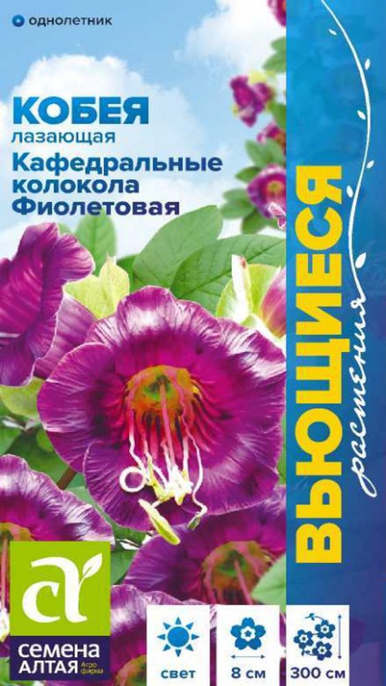 Кобея &quot;G. Кафедральные колокола фиолетовая&quot; 5шт., Россия.