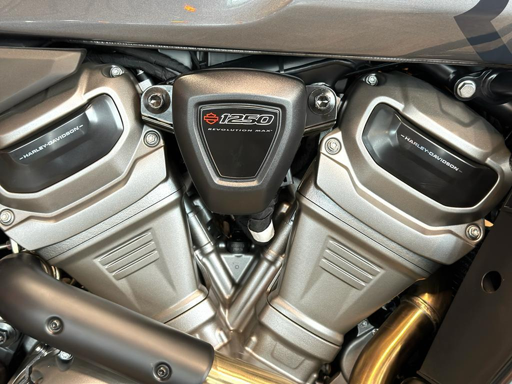 Harley-Davidson Pan America 1250 Special Gauntlet Gray Metallic